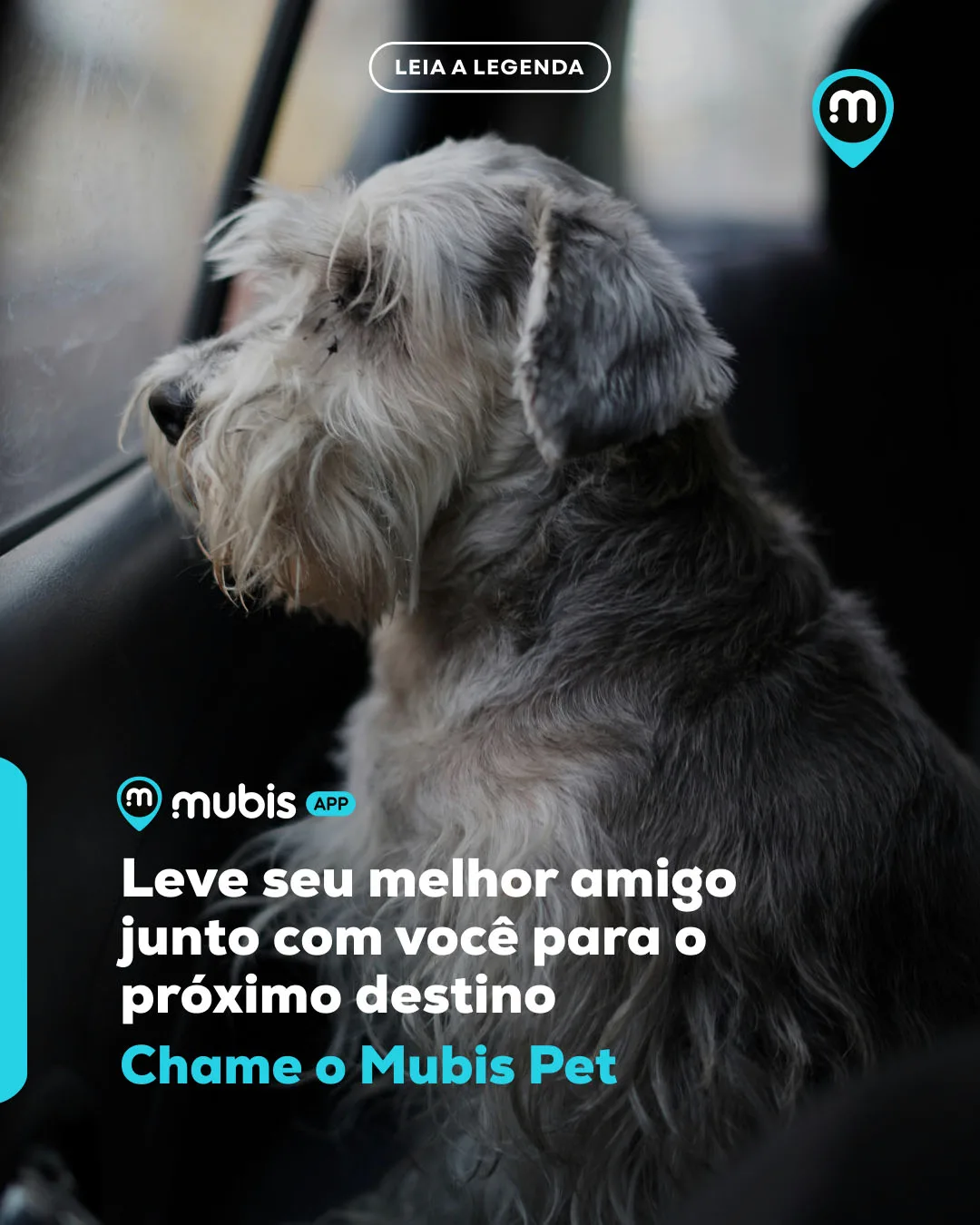Categoria Mubis Pet Transporte 01