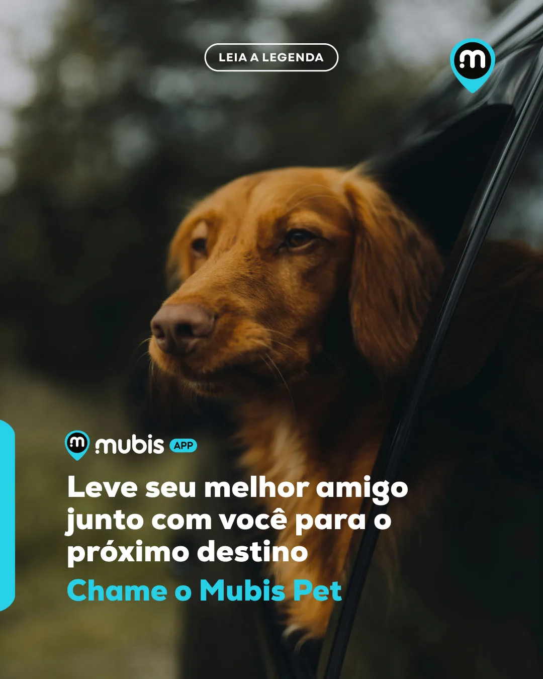 Categoria Mubis Pet Transporte 04