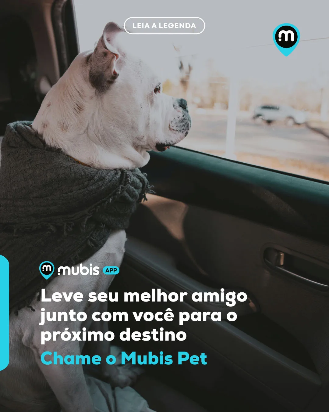 Categoria Mubis Pet Transporte 05